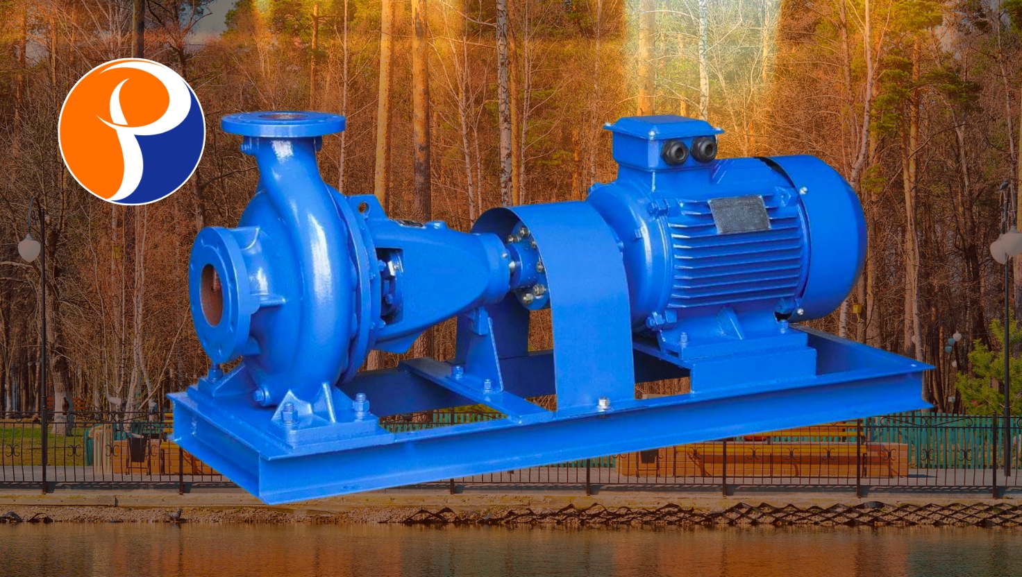 Horizontal Centrifugal Pumps Maintenance and Services