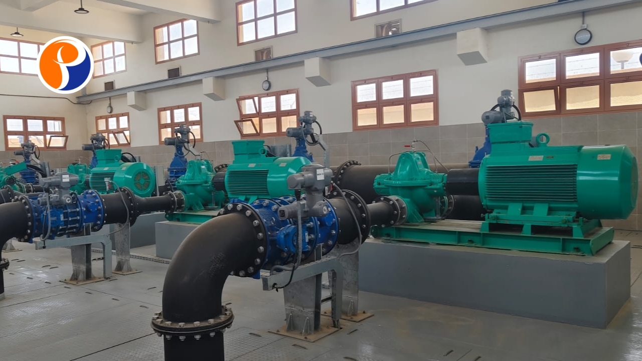 Motor Rewinding & Repair Services (13)