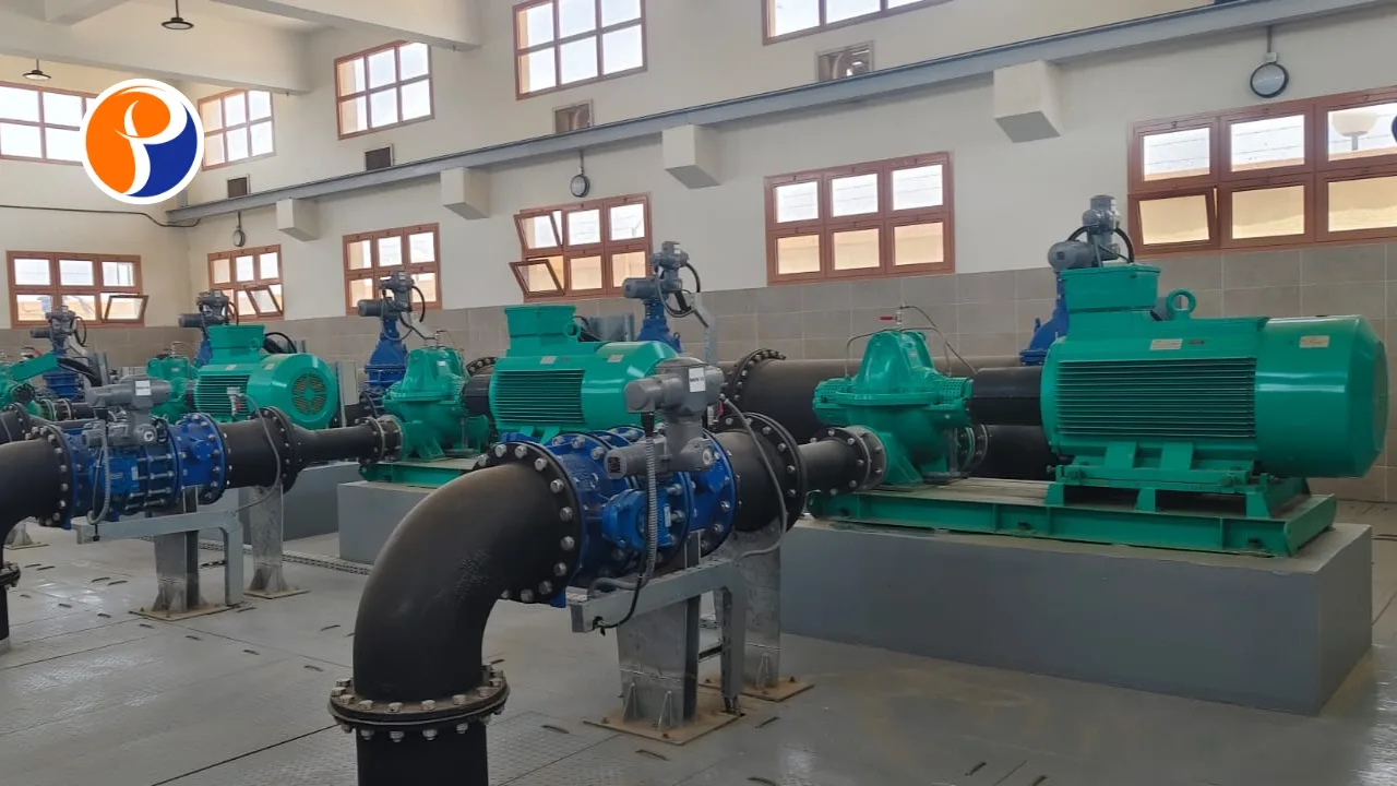 Motor Rewinding & Repair Services (13)