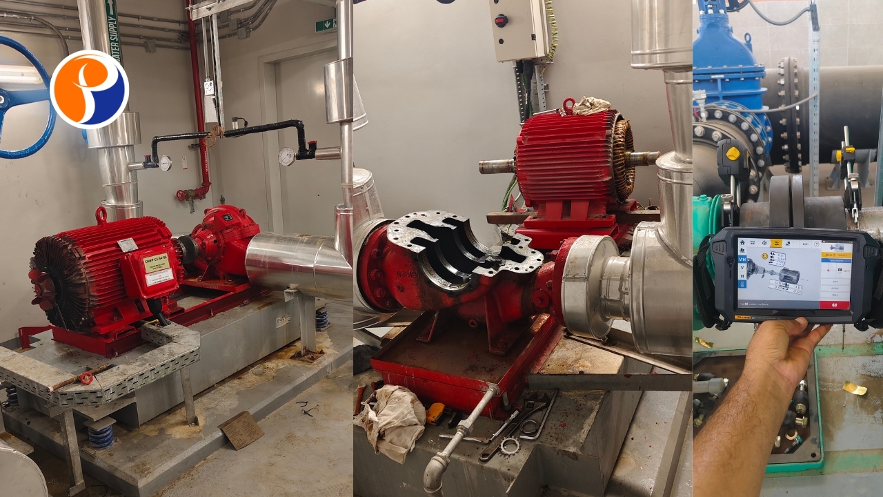 Motor Rewinding & Repair Services (17)