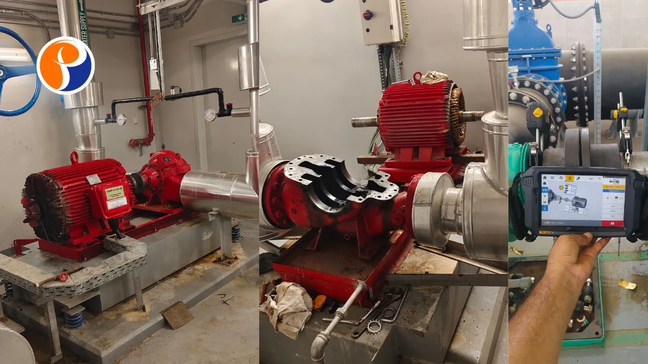 Motor Rewinding & Repair Services (17)
